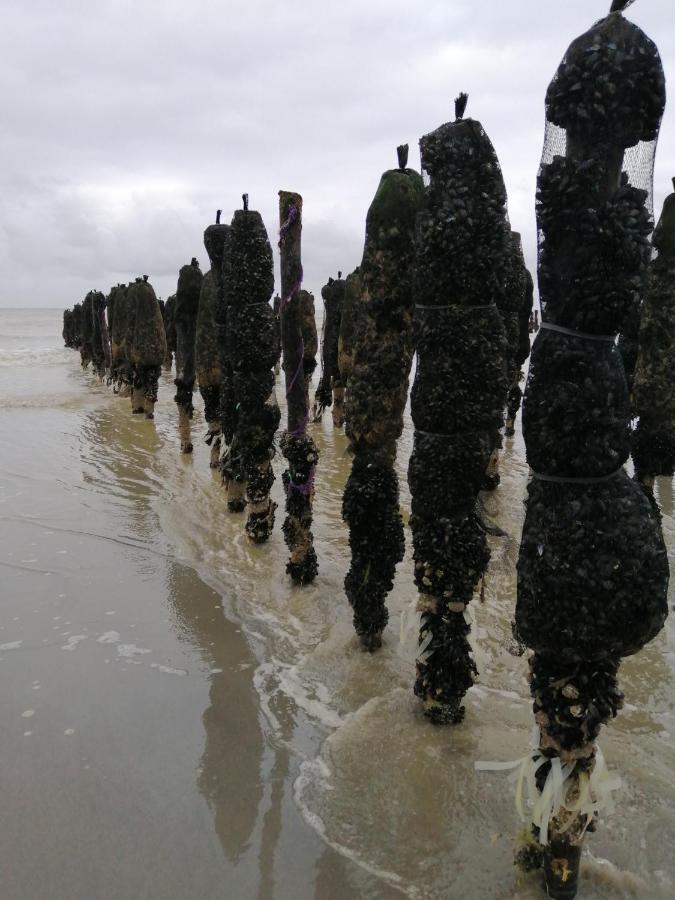 Le Cocon Des Dunes Quend Exterior foto